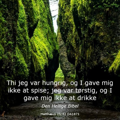 Picture 03 - Matthæus 25:42 DA1871 - Thi jeg var hungrig, og I gave mig ikke at spise; - Bible Verse Picture