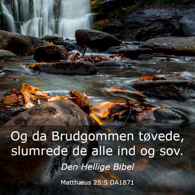 Picture 03 - Matthæus 25:5 DA1871 - Og da Brudgommen tøvede, slumrede de alle ind og - Bible Verse Picture