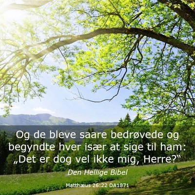 Picture 03 - Matthæus 26:22 DA1871 - Og de bleve saare bedrøvede og begyndte hver - Bible Verse Picture