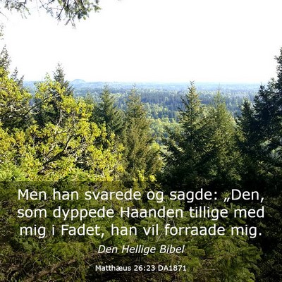 Picture 03 - Matthæus 26:23 DA1871 - Men han svarede og sagde: „Den, som dyppede - Bible Verse Picture
