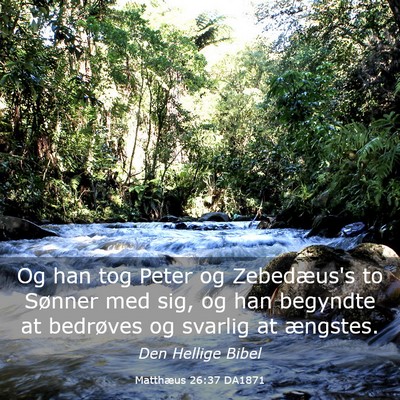 Picture 03 - Matthæus 26:37 DA1871 - Og han tog Peter og Zebedæus's to Sønner med - Bible Verse Picture