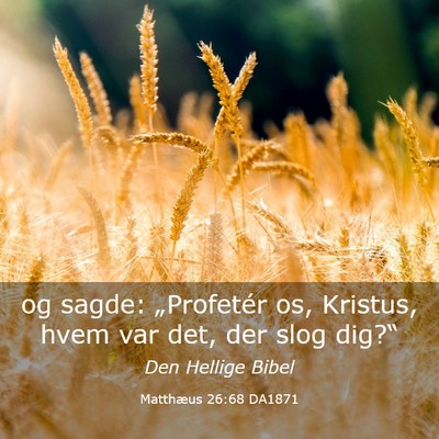 Picture 03 - Matthæus 26:68 DA1871 - og sagde: „Profetér os, Kristus, hvem var det, - Bible Verse Picture