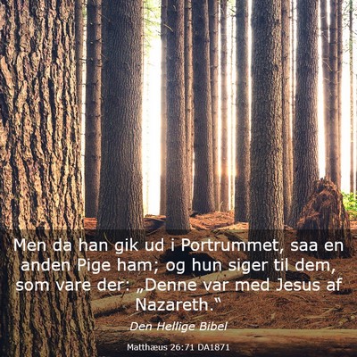 Picture 03 - Matthæus 26:71 DA1871 - Men da han gik ud i Portrummet, saa en anden Pige - Bible Verse Picture