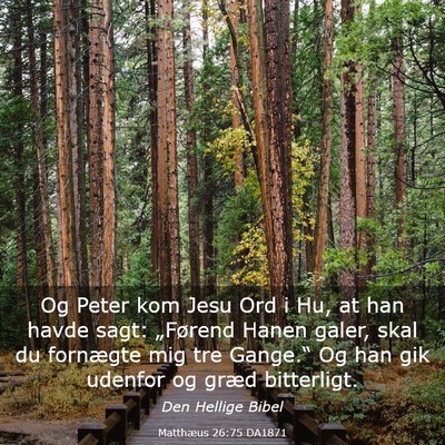 Picture 03 - Matthæus 26:75 DA1871 - Og Peter kom Jesu Ord i Hu, at han havde sagt: - Bible Verse Picture