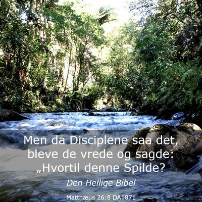 Picture 03 - Matthæus 26:8 DA1871 - Men da Disciplene saa det, bleve de vrede og - Bible Verse Picture