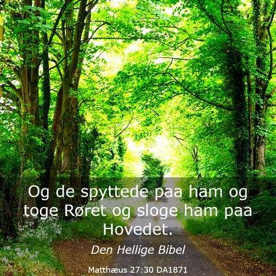 Picture 03 - Matthæus 27:30 DA1871 - Og de spyttede paa ham og toge Røret og sloge - Bible Verse Picture