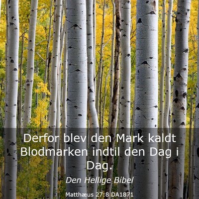Picture 03 - Matthæus 27:8 DA1871 - Derfor blev den Mark kaldt Blodmarken indtil den - Bible Verse Picture