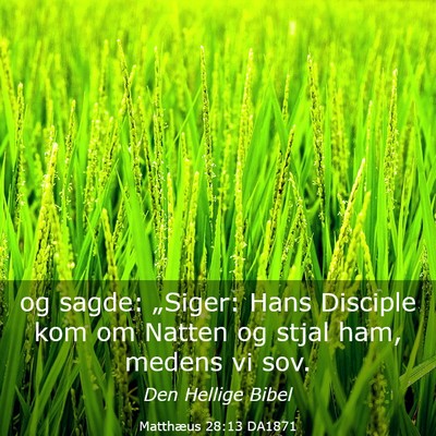 Picture 03 - Matthæus 28:13 DA1871 - og sagde: „Siger: Hans Disciple kom om Natten - Bible Verse Picture