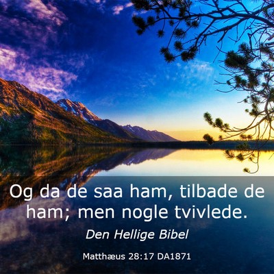 Picture 03 - Matthæus 28:17 DA1871 - Og da de saa ham, tilbade de ham; men nogle - Bible Verse Picture