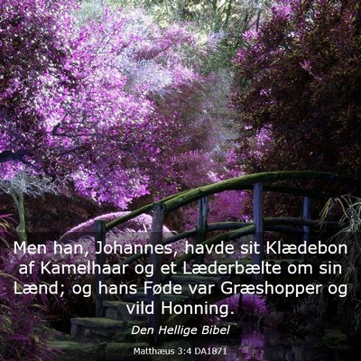 Picture 03 - Matthæus 3:4 DA1871 - Men han, Johannes, havde sit Klædebon af - Bible Verse Picture
