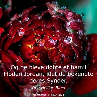 Picture 03 - Matthæus 3:6 DA1871 - Og de bleve døbte af ham i Floden Jordan, idet - Bible Verse Picture