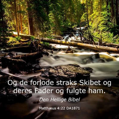 Picture 03 - Matthæus 4:22 DA1871 - Og de forlode straks Skibet og deres Fader og - Bible Verse Picture