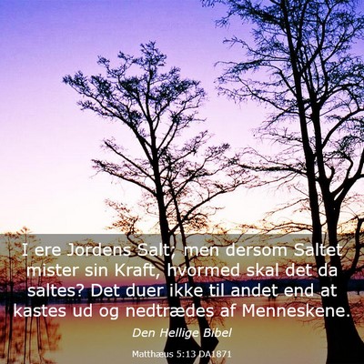 Picture 03 - Matthæus 5:13 DA1871 - I ere Jordens Salt; men dersom Saltet mister sin - Bible Verse Picture