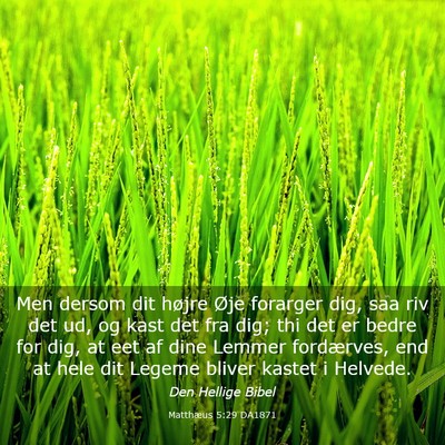 Picture 03 - Matthæus 5:29 DA1871 - Men dersom dit højre Øje forarger dig, saa riv - Bible Verse Picture