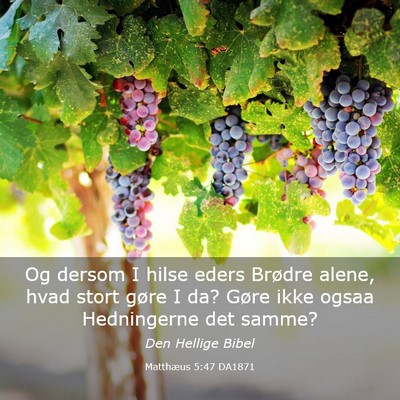 Picture 03 - Matthæus 5:47 DA1871 - Og dersom I hilse eders Brødre alene, hvad stort - Bible Verse Picture