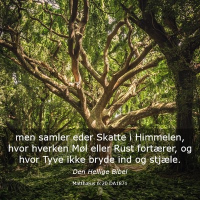 Picture 03 - Matthæus 6:20 DA1871 - men samler eder Skatte i Himmelen, hvor hverken - Bible Verse Picture