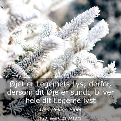 Picture 03 - Matthæus 6:22 DA1871 - Øjet er Legemets Lys; derfor, dersom dit Øje er - Bible Verse Picture
