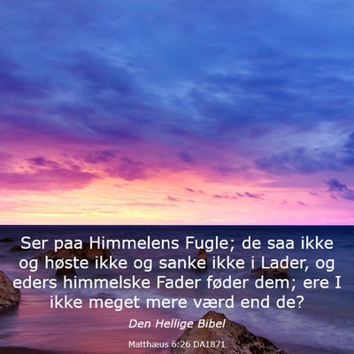 Picture 03 - Matthæus 6:26 DA1871 - Ser paa Himmelens Fugle; de saa ikke og høste - Bible Verse Picture