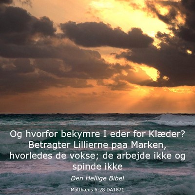 Picture 03 - Matthæus 6:28 DA1871 - Og hvorfor bekymre I eder for Klæder? Betragter - Bible Verse Picture