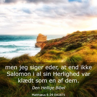 Picture 03 - Matthæus 6:29 DA1871 - men jeg siger eder, at end ikke Salomon i al sin - Bible Verse Picture
