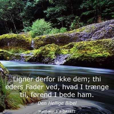 Picture 03 - Matthæus 6:8 DA1871 - Ligner derfor ikke dem; thi eders Fader ved, hvad - Bible Verse Picture