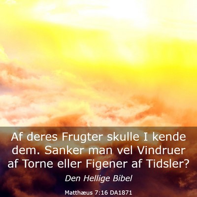 Picture 03 - Matthæus 7:16 DA1871 - Af deres Frugter skulle I kende dem. Sanker man - Bible Verse Picture