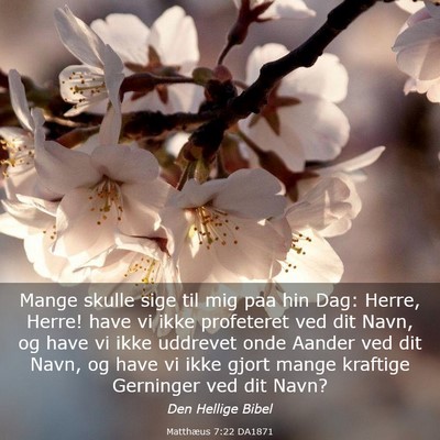 Picture 03 - Matthæus 7:22 DA1871 - Mange skulle sige til mig paa hin Dag: Herre, - Bible Verse Picture