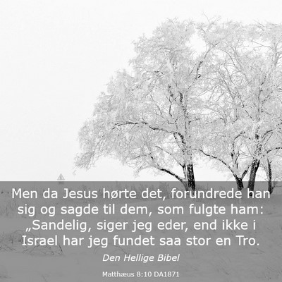 Picture 03 - Matthæus 8:10 DA1871 - Men da Jesus hørte det, forundrede han sig og - Bible Verse Picture