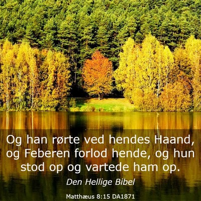 Picture 03 - Matthæus 8:15 DA1871 - Og han rørte ved hendes Haand, og Feberen forlod - Bible Verse Picture