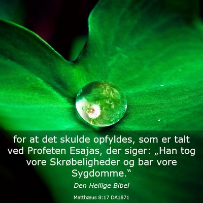 Picture 03 - Matthæus 8:17 DA1871 - for at det skulde opfyldes, som er talt ved - Bible Verse Picture