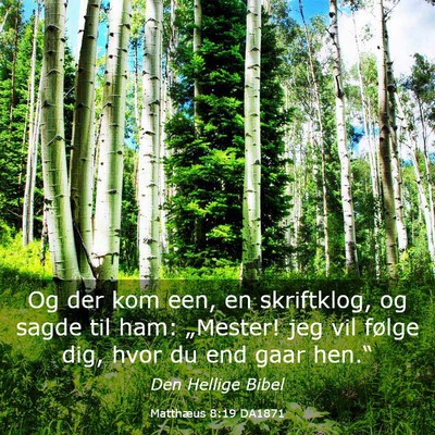 Picture 03 - Matthæus 8:19 DA1871 - Og der kom een, en skriftklog, og sagde til ham: - Bible Verse Picture
