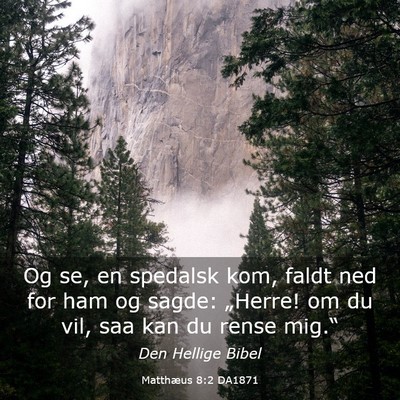 Picture 03 - Matthæus 8:2 DA1871 - Og se, en spedalsk kom, faldt ned for ham og - Bible Verse Picture
