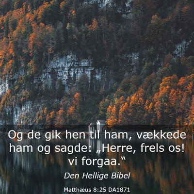 Picture 03 - Matthæus 8:25 DA1871 - Og de gik hen til ham, vækkede ham og sagde: - Bible Verse Picture