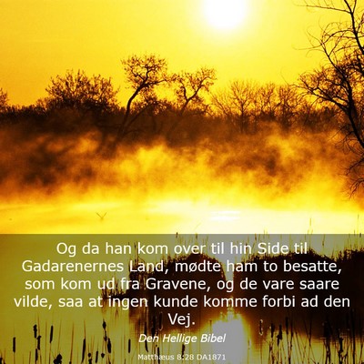 Picture 03 - Matthæus 8:28 DA1871 - Og da han kom over til hin Side til Gadarenernes - Bible Verse Picture