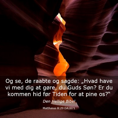 Picture 03 - Matthæus 8:29 DA1871 - Og se, de raabte og sagde: „Hvad have vi med - Bible Verse Picture