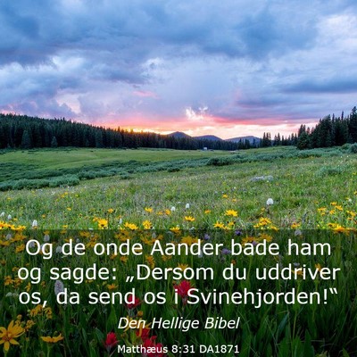 Picture 03 - Matthæus 8:31 DA1871 - Og de onde Aander bade ham og sagde: „Dersom du - Bible Verse Picture