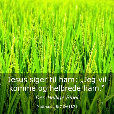 Picture 03 - Matthæus 8:7 DA1871 - Jesus siger til ham: „Jeg vil komme og helbrede - Bible Verse Picture
