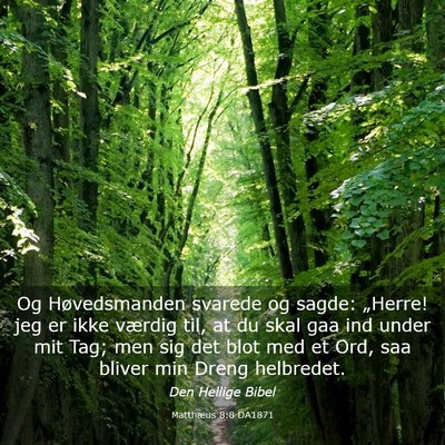 Picture 03 - Matthæus 8:8 DA1871 - Og Høvedsmanden svarede og sagde: „Herre! jeg - Bible Verse Picture