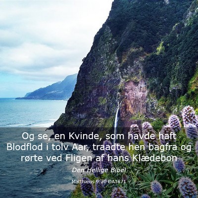 Picture 03 - Matthæus 9:20 DA1871 - Og se, en Kvinde, som havde haft Blodflod i tolv - Bible Verse Picture