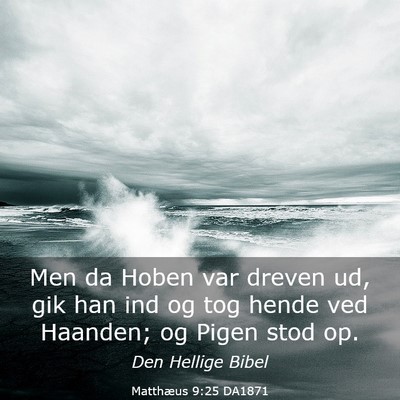 Picture 03 - Matthæus 9:25 DA1871 - Men da Hoben var dreven ud, gik han ind og tog - Bible Verse Picture