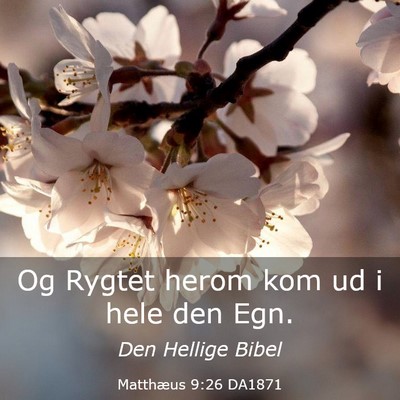 Picture 03 - Matthæus 9:26 DA1871 - Og Rygtet herom kom ud i hele den - Bible Verse Picture