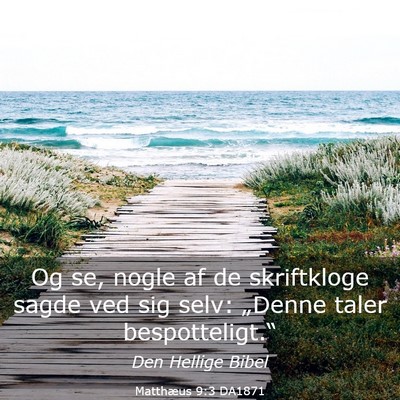 Picture 03 - Matthæus 9:3 DA1871 - Og se, nogle af de skriftkloge sagde ved sig - Bible Verse Picture