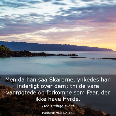 Picture 03 - Matthæus 9:36 DA1871 - Men da han saa Skarerne, ynkedes han inderligt - Bible Verse Picture