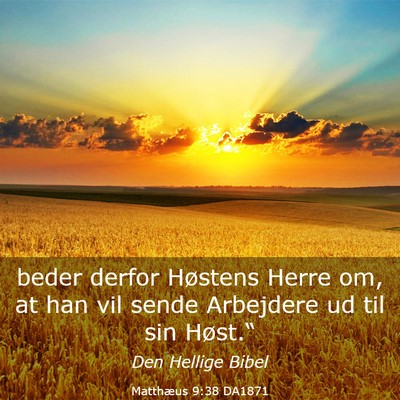 Picture 03 - Matthæus 9:38 DA1871 - beder derfor Høstens Herre om, at han vil sende - Bible Verse Picture