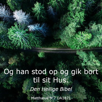 Picture 03 - Matthæus 9:7 DA1871 - Og han stod op og gik bort til sit - Bible Verse Picture
