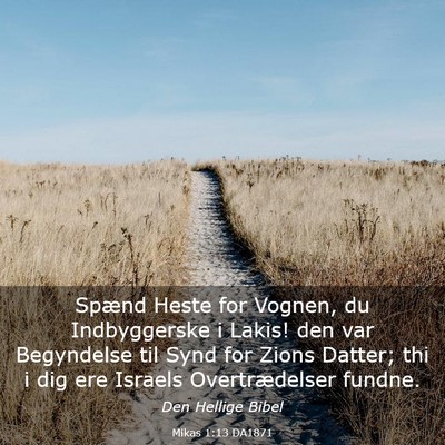 Picture 03 - Mikas 1:13 DA1871 - Spænd Heste for Vognen, du Indbyggerske i Lakis! - Bible Verse Picture