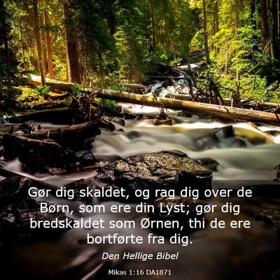 Picture 03 - Mikas 1:16 DA1871 - Gør dig skaldet, og rag dig over de Børn, som - Bible Verse Picture