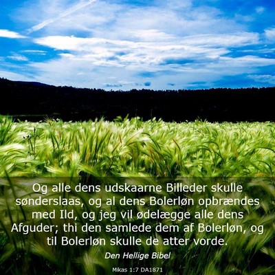 Picture 03 - Mikas 1:7 DA1871 - Og alle dens udskaarne Billeder skulle - Bible Verse Picture