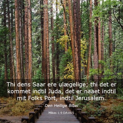 Picture 03 - Mikas 1:9 DA1871 - Thi dens Saar ere ulægelige; thi det er kommet - Bible Verse Picture