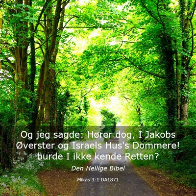 Picture 03 - Mikas 3:1 DA1871 - Og jeg sagde: Hører dog, I Jakobs Øverster og - Bible Verse Picture